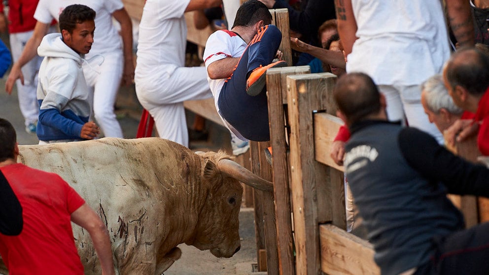 Segundo encierro de las fiestas de Tafalla 2019 con la ganadería de Prieto de la Cal. MIGUEL OSÉS