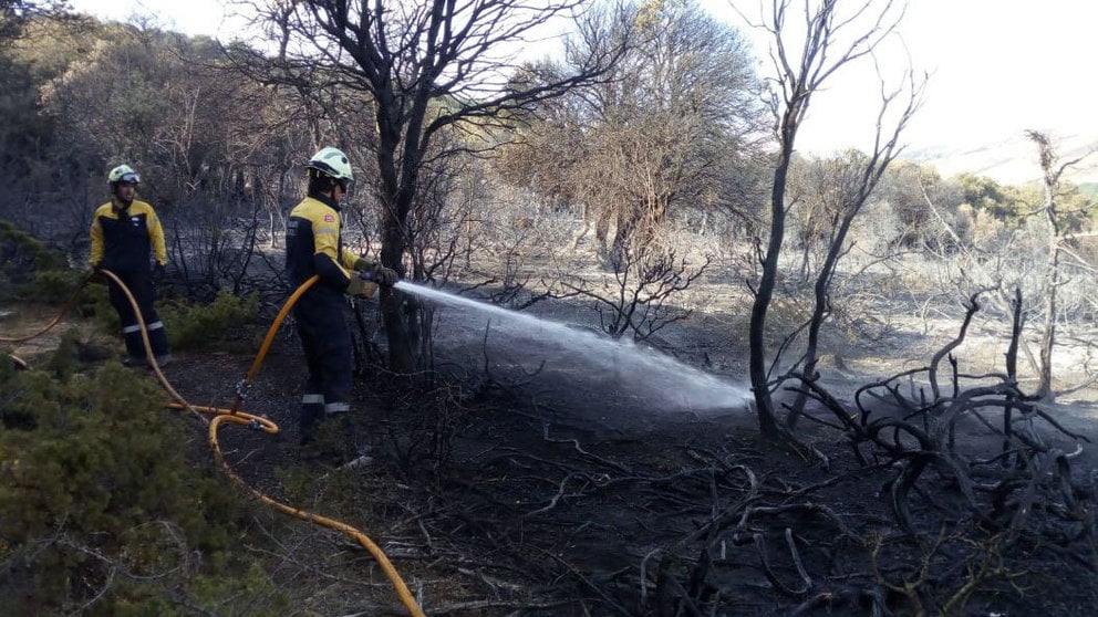 Bomberos trabajan en la extinción de un incendio forestal en Lezaun BOMBEROS DE NAVARRA