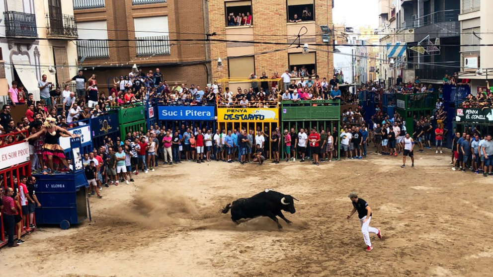 Imagen de un toro en los festejos taurinos de la localidad de Alcora. TWITTER