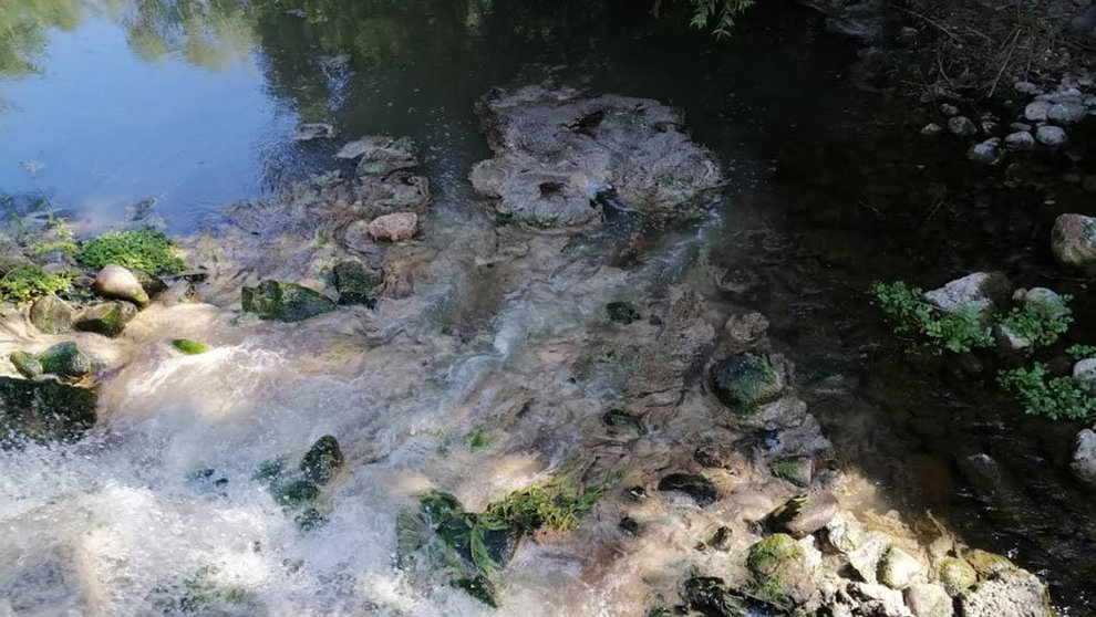 Vertidos de aguas residuales en el río Alhama a su paso por Corella. CEDIDA