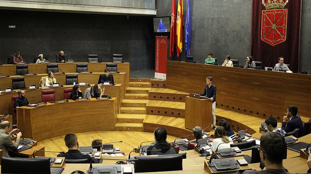II Parlamento Joven de Navarra CEDIDA