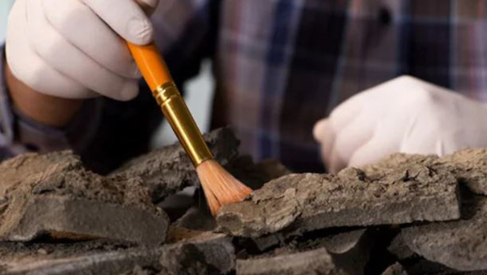 Un arqueólogo descubre restos ARCHIVO