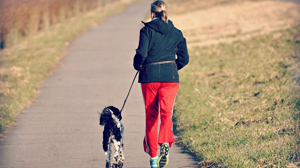 Una mujer paseando con un perro ARCHIVO