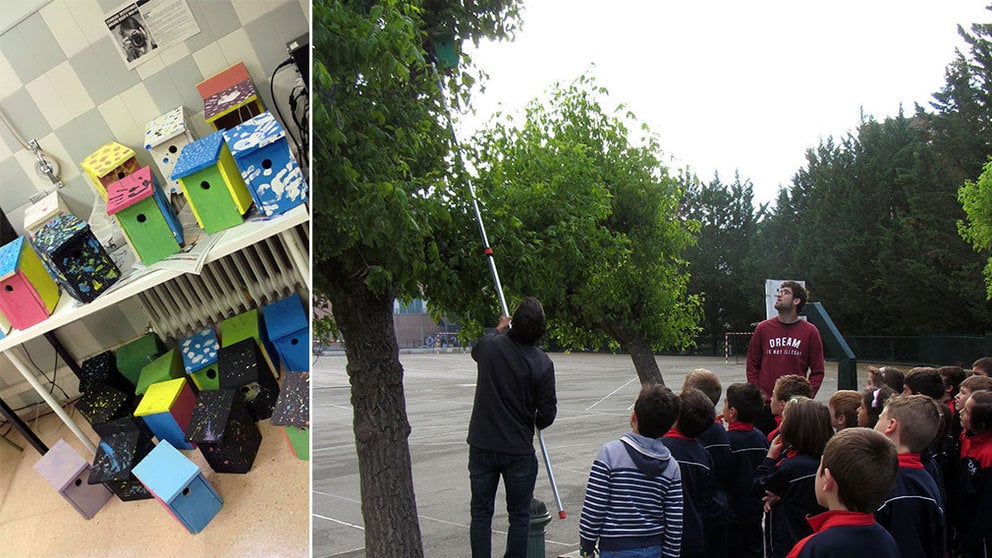 Un grupo de escolares coloca las cajas nido en diferentes parques de la capital navarra. CEDIDAS