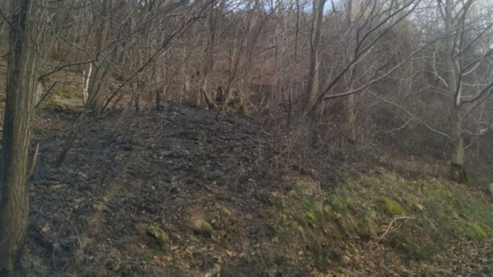 Incendio en la zona de Dancharinea, en la frontera con Francia GUARDIA CIVIL