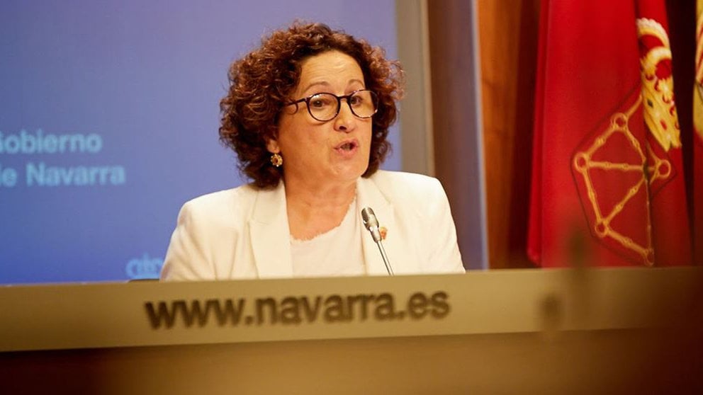 La consejera de Derechos Sociales, Mª Carmen Maeztu, durante una rueda de prensa. ARCHIVO