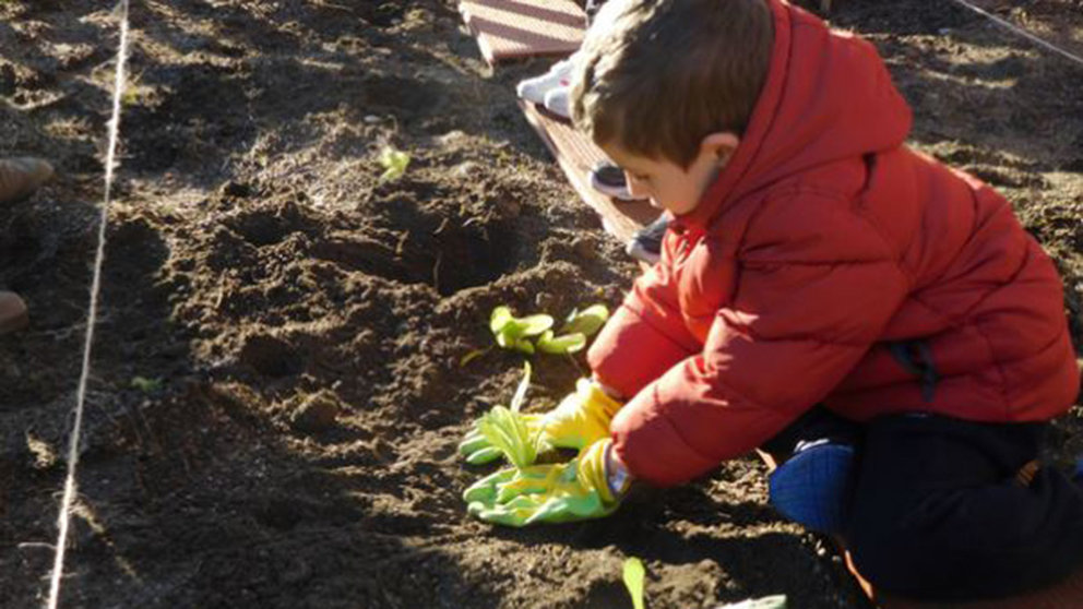 Un niño planta en la huerta ecológica de su centro educativo AYUNTAMIENTO DE PAMPLONA