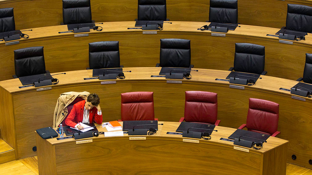 Pleno del Parlamento de Navarra durante el estado de alarma por la crisis del coronavirus en abril de 2020 (5)