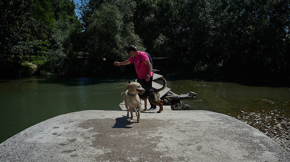 Un hombre pasea con su perro en las inmediaciones del río Arga durante la Fase 2 de la desescalada en Pamplona, cuando se permite el baño en ríos y riachuelos, siempre y cuando se cumplan las medidas para preservar la salud y la seguridad, donde la distancia a guardar tanto en la orilla como en el agua debe ser de dos metros. En Pamplona, Navarra (España), a 29 de mayo de 2020.

29 MAYO 2020;RIO ARGA;PAMPLONA;NAVARRA;FASE 2;DESESCALADA;COVID19

29/5/2020