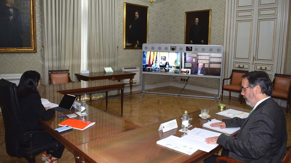 Videoconferencia de la ministra Carolina Darias con el vicepresidente Javier Remírez GOBIERNO DE ESPAÑA
