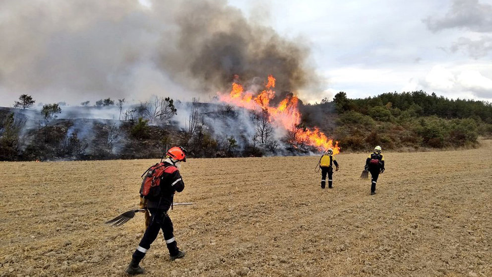 Los bomberos forestales tratan de extinguir el incendio ocurrido en el valle de Lónguida. BOMBEROS FORESTALES