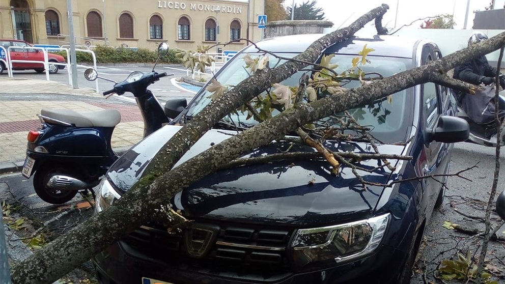Una rama cae sobre un vehículo estacionado por las fuertes rachas de viento registradas en Navarra. POLICÍA MUNICIPAL DE PAMPLONA