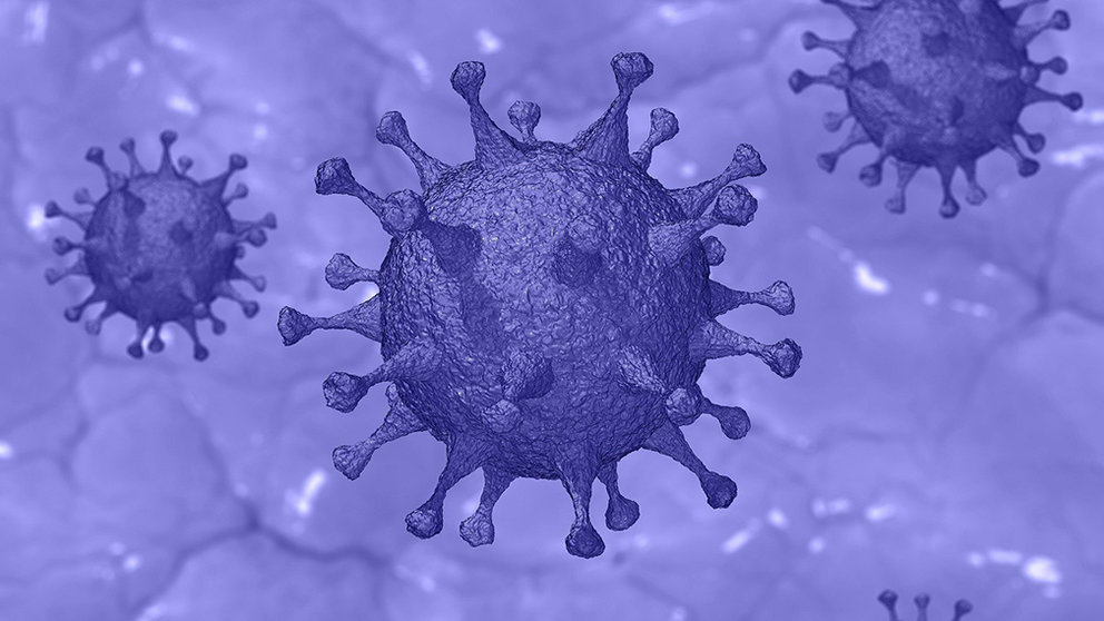 Covid-19, nuevo coronavirus. EUROPA PRESS