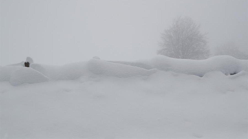 Imagen de archivo tras el primer temporal de nieve en la Comunidad Foral. EFE/VILLAR LÓPEZ