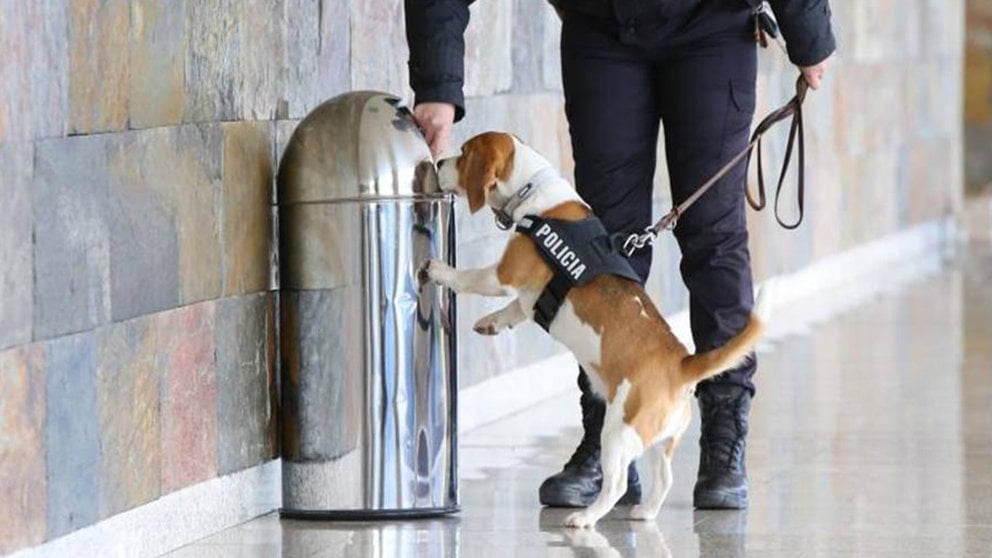 Imagen de archivo de un perro polícia buscando droga oculta en la papelera de una estación. POLICÍA NACIONAL