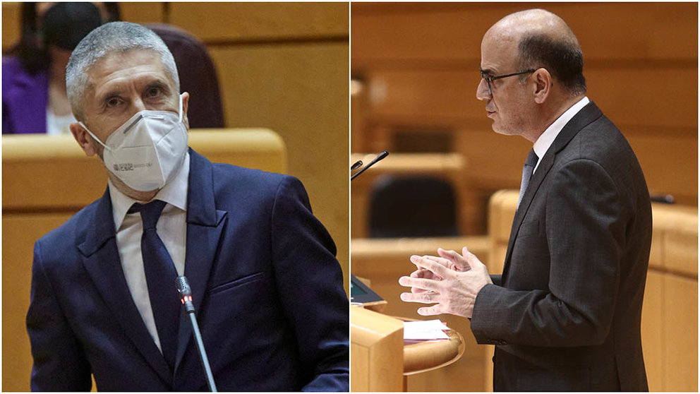 El ministro Marlaska y el senador de UPN, Alberto Catalán, en un pleno del Senado.