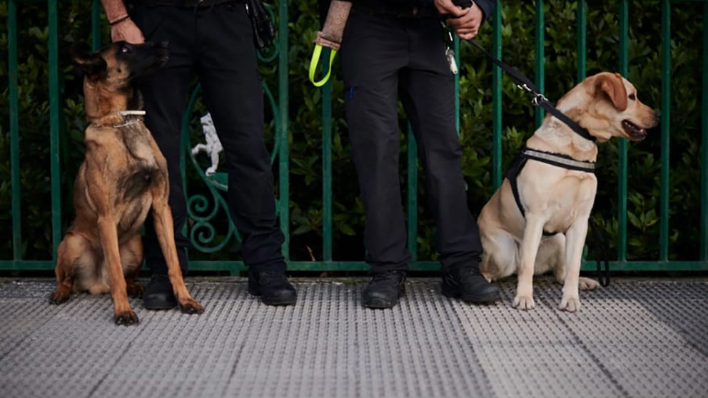 Dos miembros de la patrulla canina de la Policía Municipal de Pamplona encargados de detectar droga. PABLO LASASOA