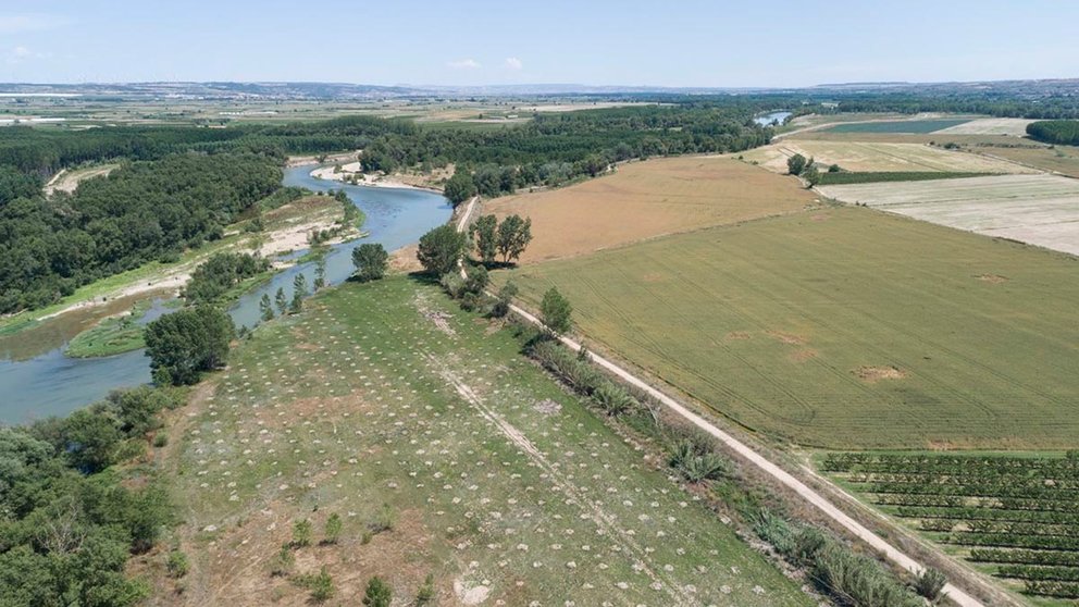 El paraje del río Ebro en Milagro. - CHE