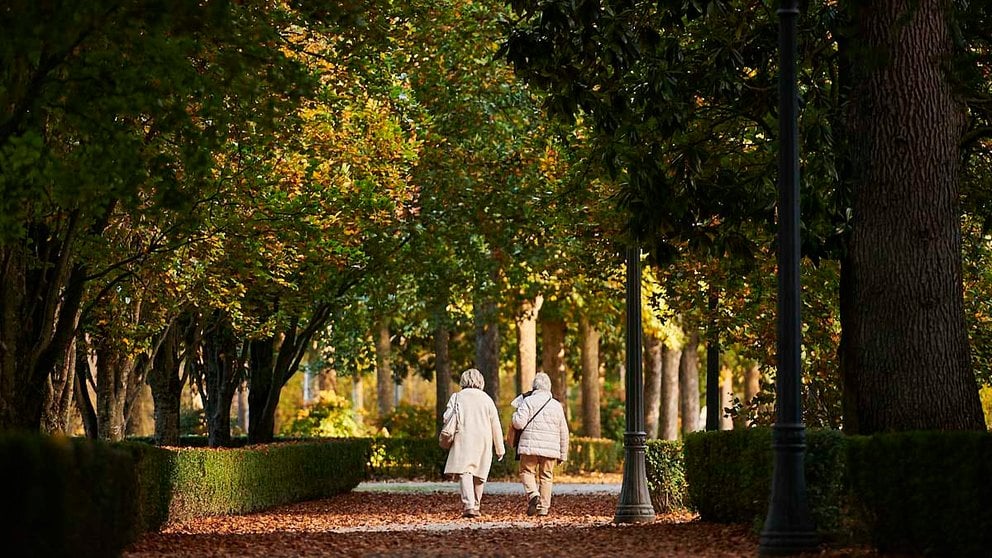 Dos personas caminan por la Taconera de Pamplona durante una mañana de otoño. PABLO LASAOSA