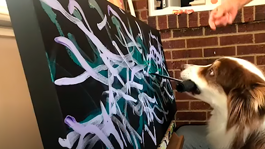 Ivy, la perra artista que gana miles de euros pintando cuadros que vende su dueña Lisa. YOUTUBE