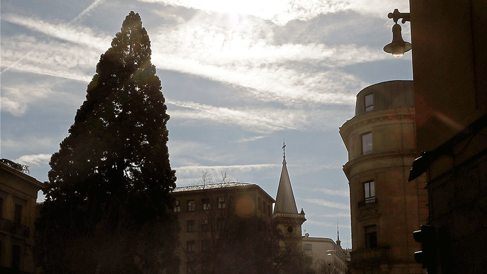 La silueta de la secuoya gigante, el árbol más alto de la ciudad de 37 metros de altura, que fue plantada en los jardines del Palacio de Navarra en 1855. EFE/Jesús Diges