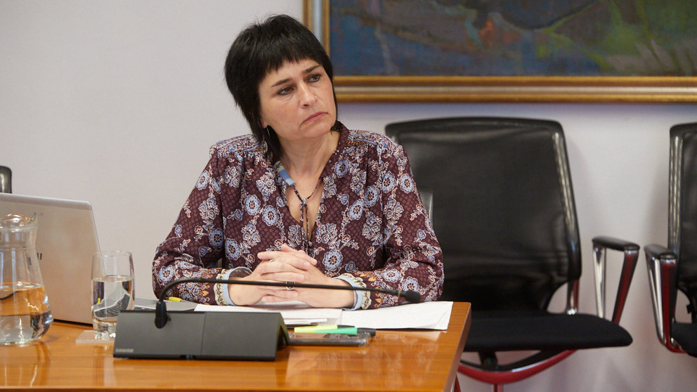 Laura Aznal, candidata de EH Bildu a la presidencia de Navarra, durante una comisión parlamentaria. IÑIGO ALZUGARAY