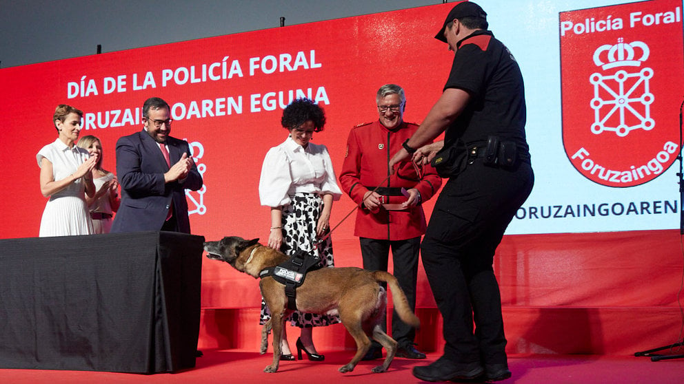 El perro policía “Klaus” recibe una Mención Honorífica en el Acto Conmemorativo del Día de la Policía Foral de Navarra por sus servicios prestados en beneficio de la seguridad ciudadana en la localización y detección de sustancias estupefacientes. IÑIGO ALZUGARAY