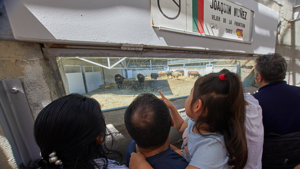 Niños y adultos visitan los Corrales del Gas para ver a los toros que protagonizarán los encierros y las corridas durante los Sanfermines 2022. IÑIGO ALZUGARAY