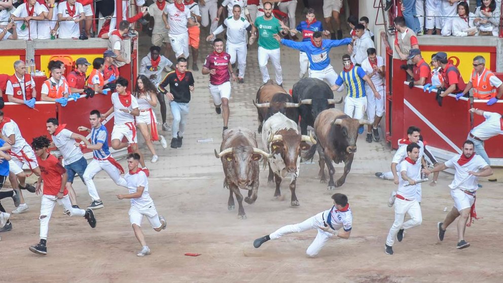 Entrada de los toros de la Ganadería Miura, en la Plaza de toros de Pamplona en lo que es el octavo y último encierro de San Fermín 2022. IRAITZ IRIARTE.