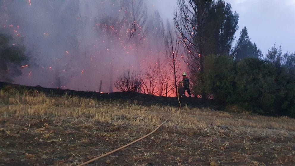 Los bomberos permanecen en el pinar culminando las labores de extinción. CEDIDA