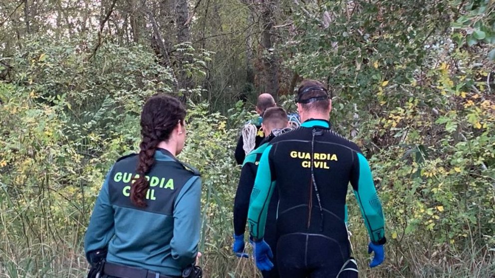 Los agentes de la Guardia Civil han sacado del río los cadáveres de una yegua y un ciervo. CEDIDA