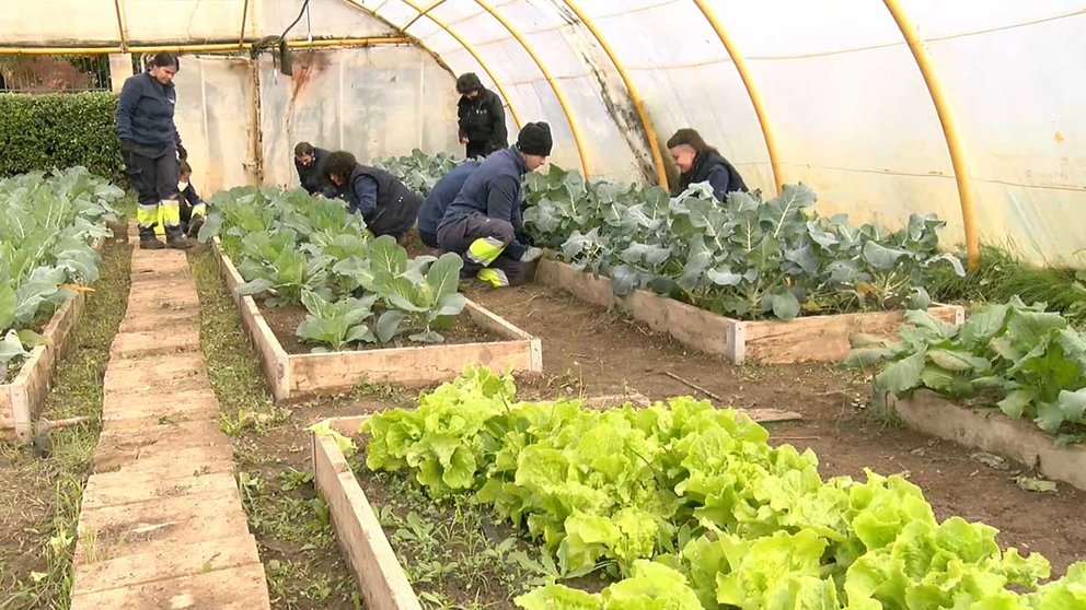 Alumnos de la Escuela taller Aranzadi, donde se cultivan las verduras de temporada. AYUNTAMIENTO DE PAMPLONA