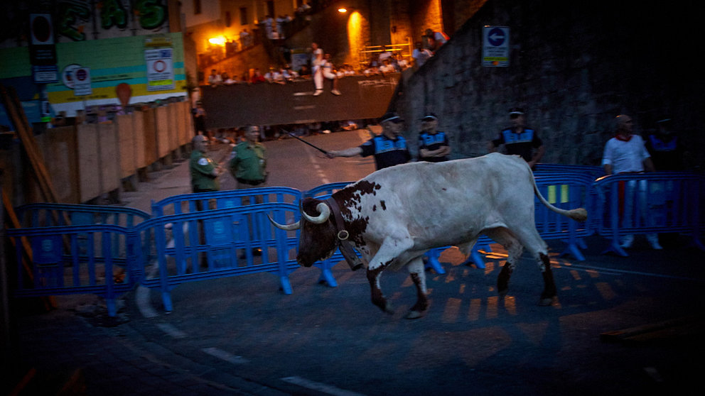 Encierrillo de los toros de la ganadería Cebada Gago, en la noche previa a protagonizar el segundo encierro de los Sanfermines 2019. IÑIGO ALZUGARAY