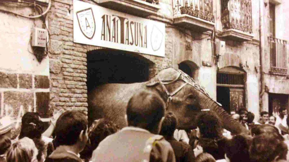 Un elefante se coló en los Sanfermines de 1986 en la Peña Anaitasuna, en la calle Jarauta. Foto del libro Peñas de Pamplona: una historia viva.