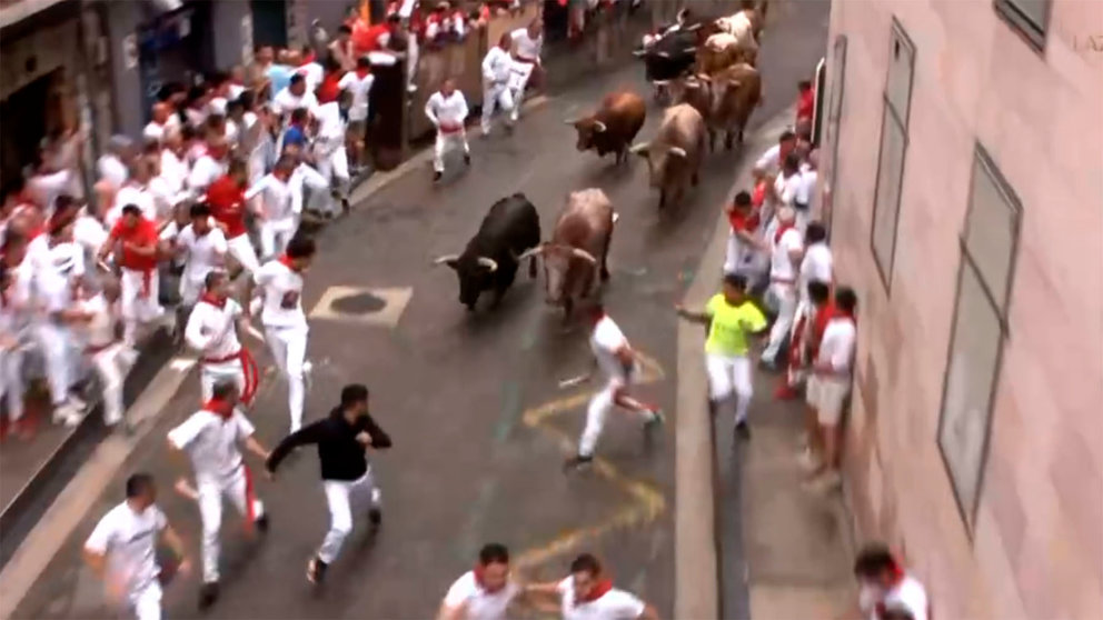 Un corredor se lanza contra la manada en el quinto encierro de San Fermín. NAVARRA.COM