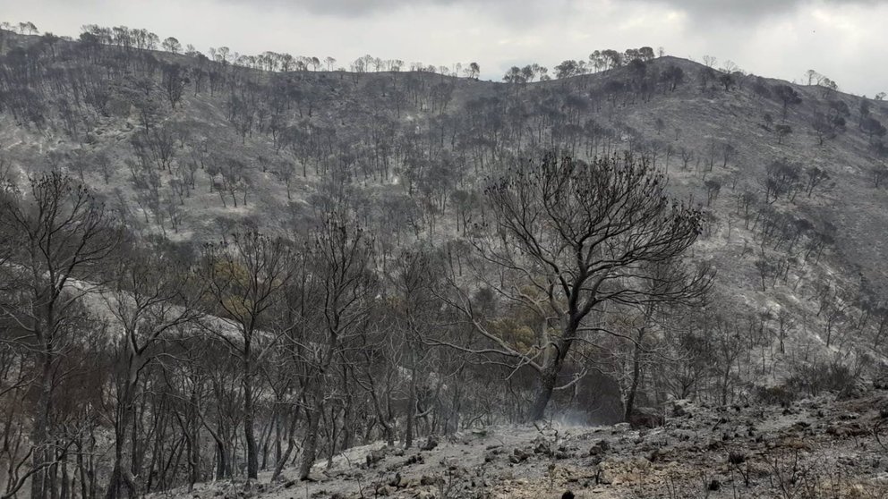 Imagen de la superficie calcinada en el incendio de Los Guajares - PLAN INFOCA - Archivo