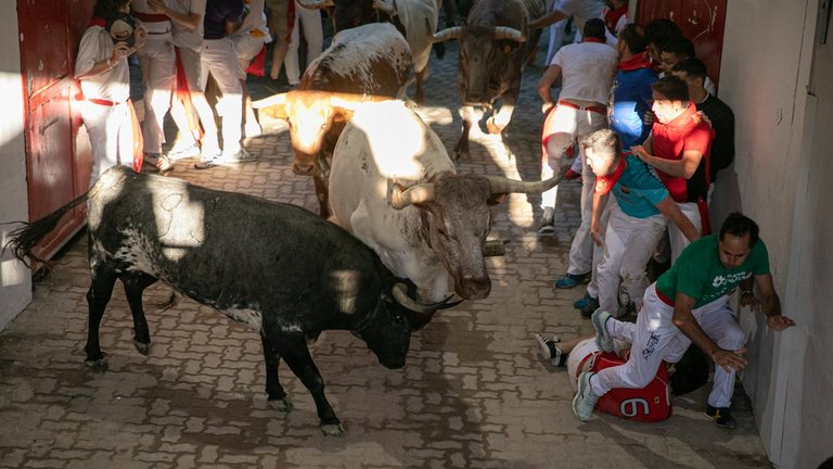Al borde del desastre en el callejón: el toro burraco de Cebada Gago se vuelve y siembra el pánico
