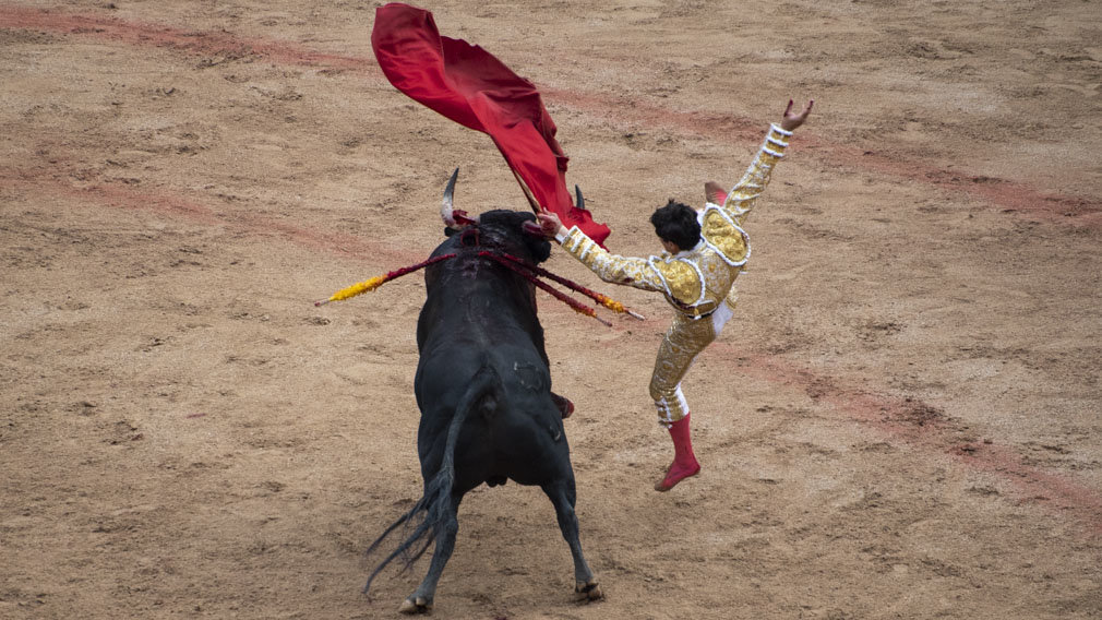 Sangre, oreja y Ureña: un gran toro del Puerto de San Lorenzo abre la Feria del Toro de Pamplona